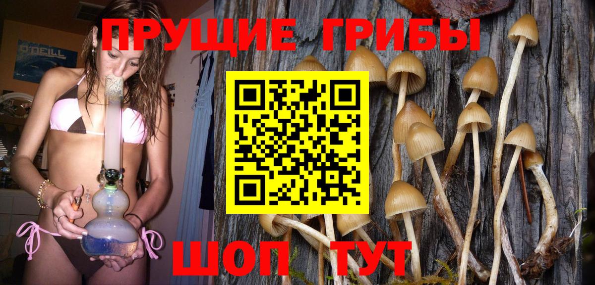 цена   Псилоцибиновые грибы GOLDEN TEACHER  Кстово  Вход с VPN  Псилоцибиновые грибы Psilocybe 